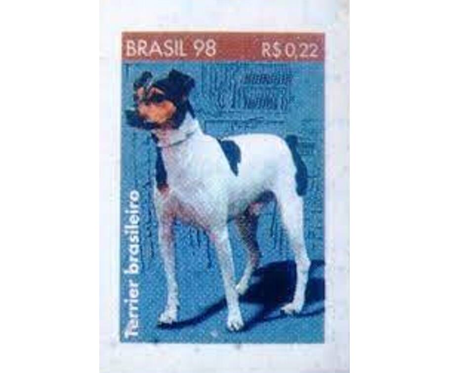 Selo de 1998 em homenagem a raça Terrier Brasileiro. Foto: Reprodução