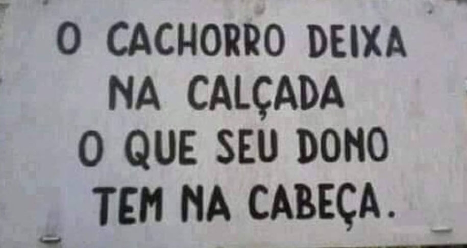 Cadê o saquinho pra coleta do cocô? Reprodução: Flipar