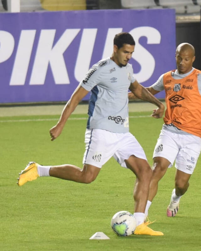Jogo do Santos. Foto: IVAN STORTI