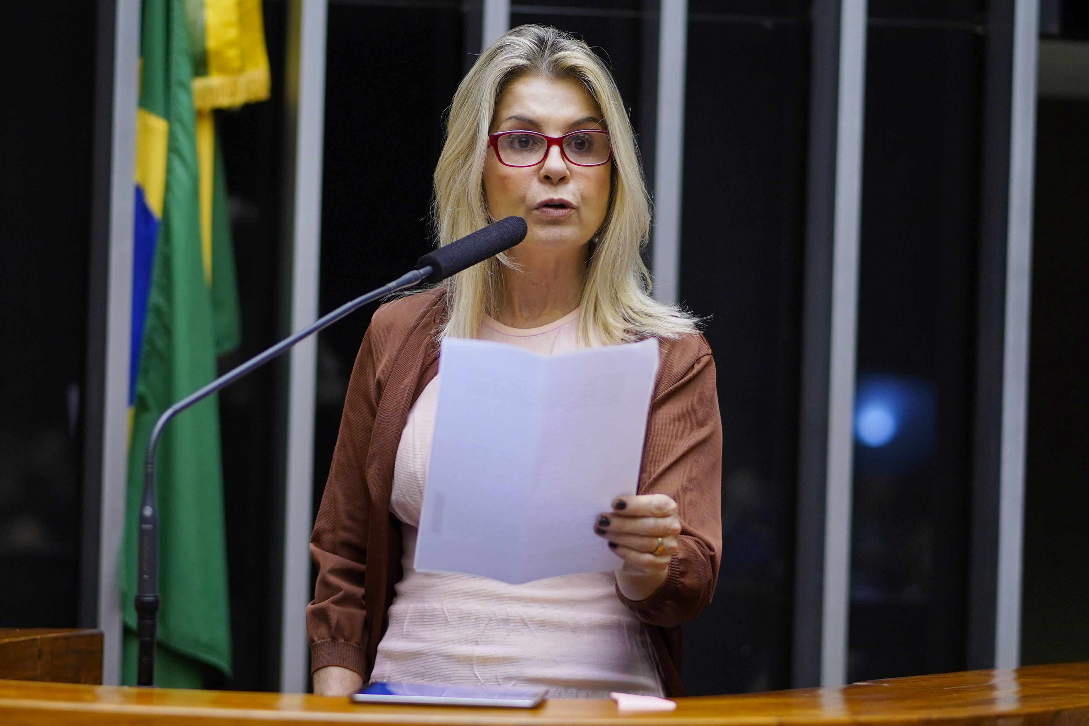 Soraya Manato (PSL-ES). Foto: Pablo Valadares/Agência Câmara