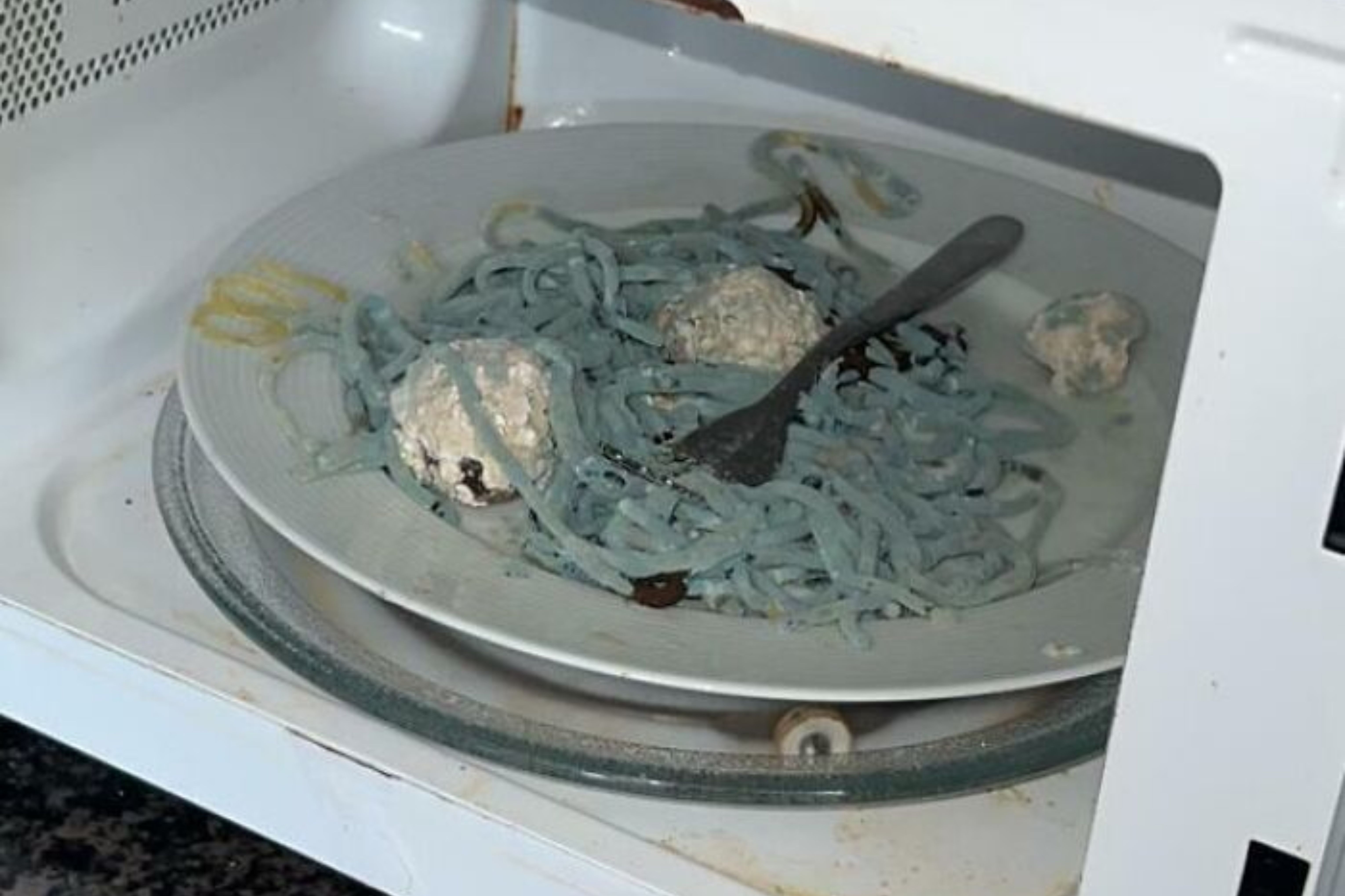 Uma pessoa esquentou espaguete com almôndega no micro-ondas e deixou lá por 3 semanas (Reprodução)