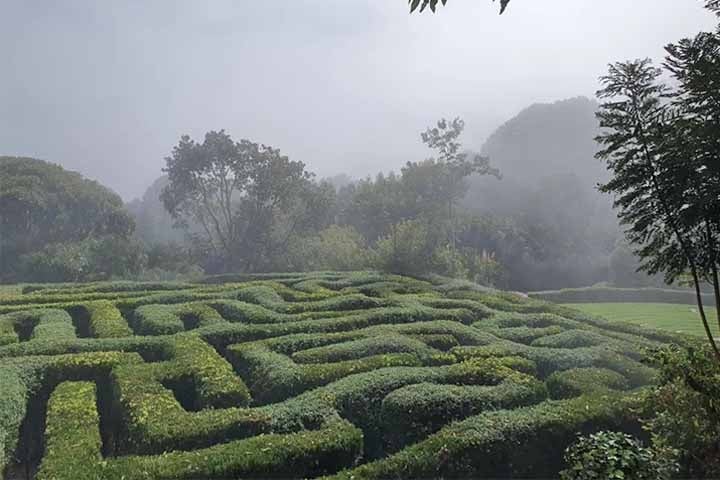 Um dos destaques do parque é o labirinto feito de arbustos. Ele foi considerado por um grupo de estudiosos e localizadores de caminhos deste tipo como o maior labirinto de grama do Brasil e está entre os maiores no mundo deste tipo. Reprodução: Flipar