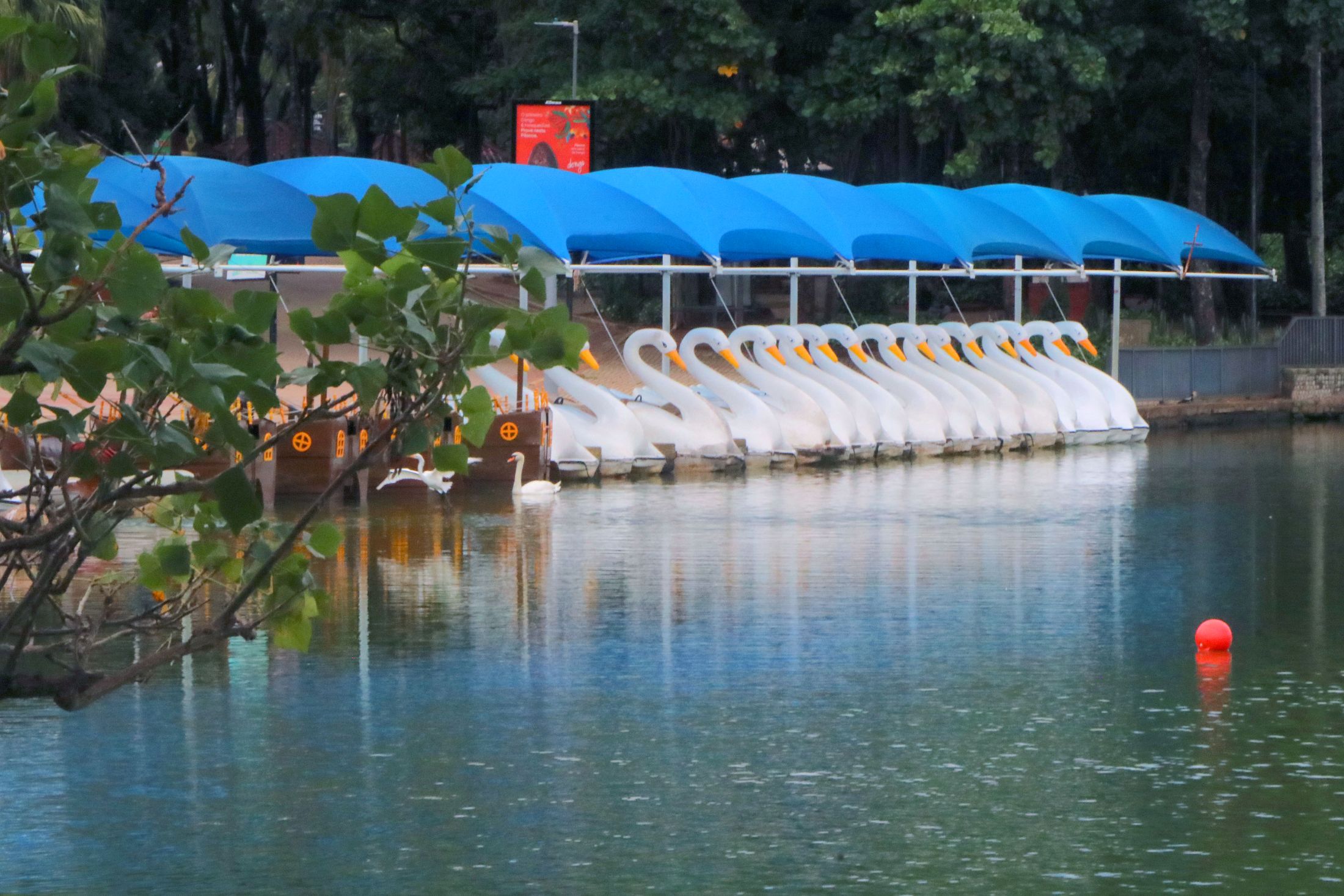 Pedalinhos da Lagoa do Taquaral, Parque Portugal Campinas (SP). Foto: Divulgação / Prefeitura de Campinas (SP)