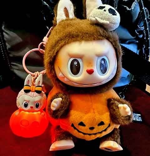 Os bonecos Labubu têm rosto de vinil e corpos de pelúcia. O aspecto, com olhos esbugalhados e orelhas pontudas, gera uma percepção entre o fofo e o estranho. 
 Reprodução: Flipar