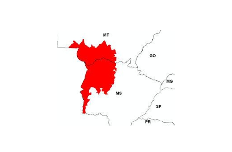  A ideia era juntar num território autônomo as áreas que abrigam a fauna e a flora pantaneira, bioma constituído, principalmente, por uma savana alagada em sua maior parte, com 250 mil km². Reprodução: Flipar