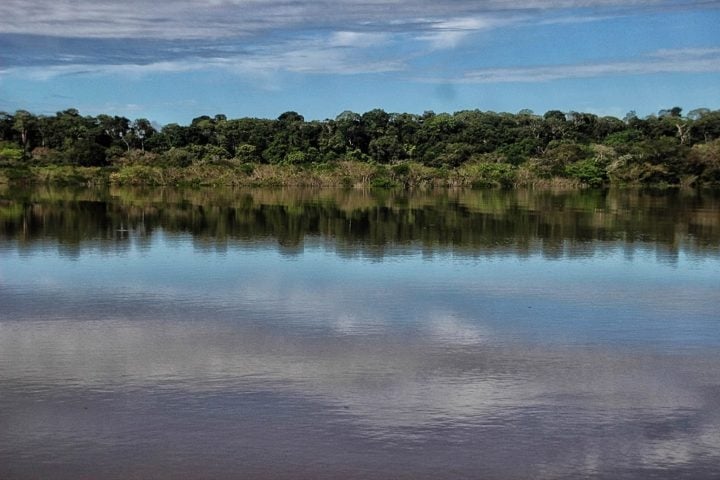 Contudo, ao visitar as praias da Amazônia, é importante lembrar que a região é o lar de uma variedade de animais selvagens, incluindo insetos, cobras e jacarés, o que inspira cuidados. Reprodução: Flipar