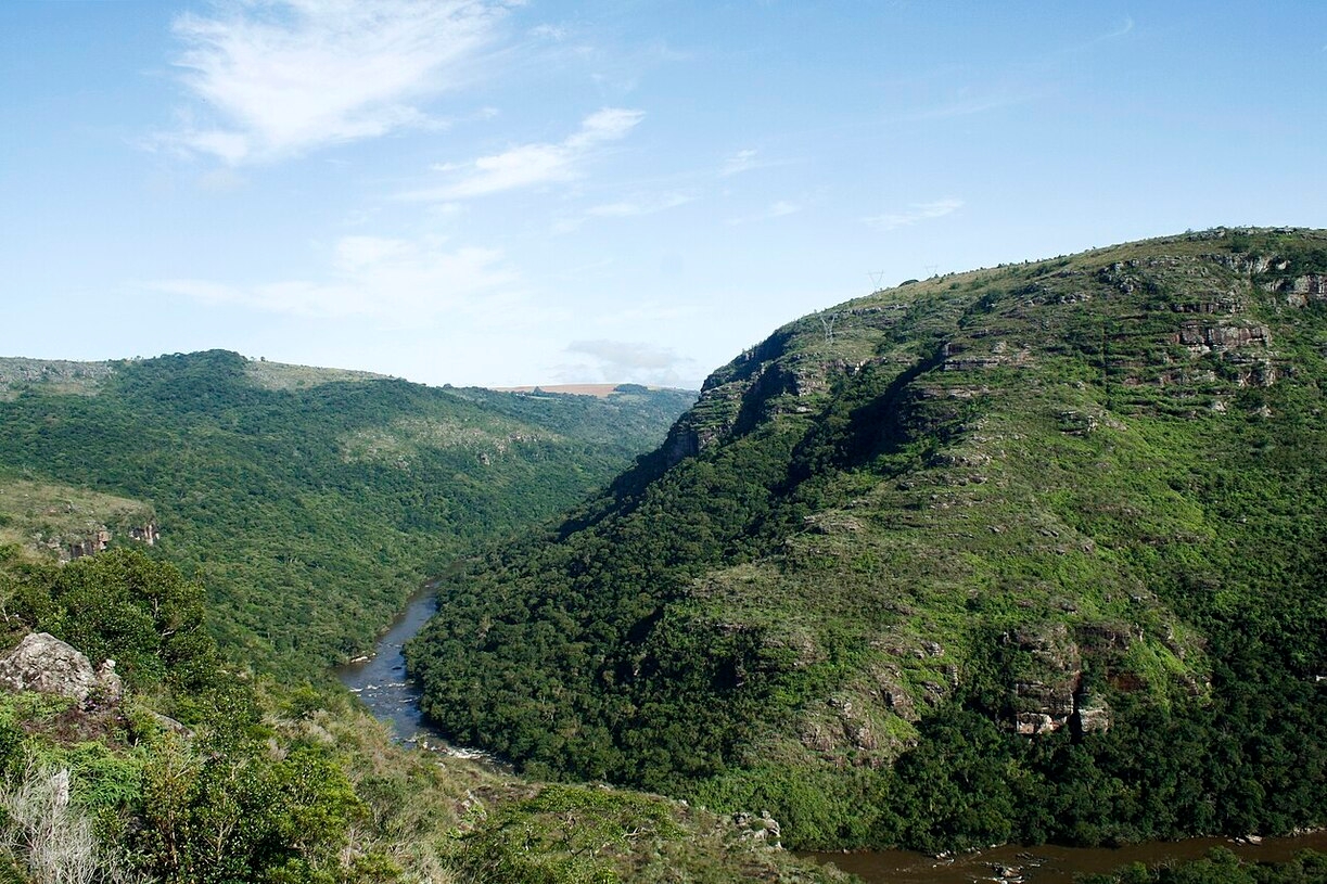 Os turistas que vão ao cânion ainda podem visitar o Parque Estadual do Guartelá, uma área de preservação ambiental que abriga uma diversidade impressionante de flora e fauna. Reprodução: Flipar