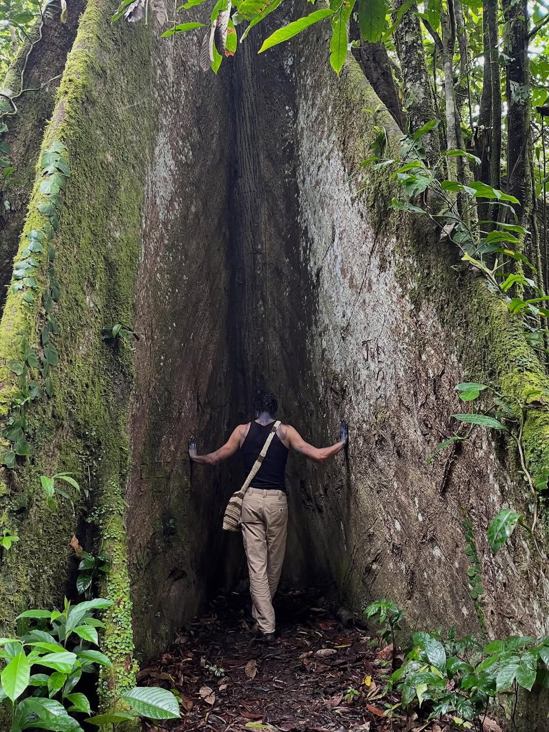 Shawn Mendes perto de árvore. Foto: Reprodução/ Instagram @shawnmendes