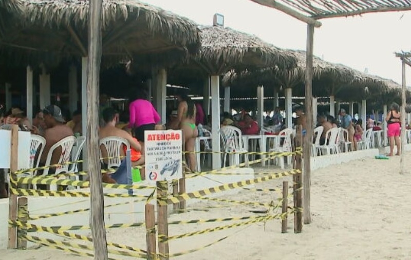 As praias piauienses estão na rota das tartarugas, que todos os anos proporcionam um espetáculo da Natureza aos banhistas e comerciantes da região.  Reprodução: Flipar