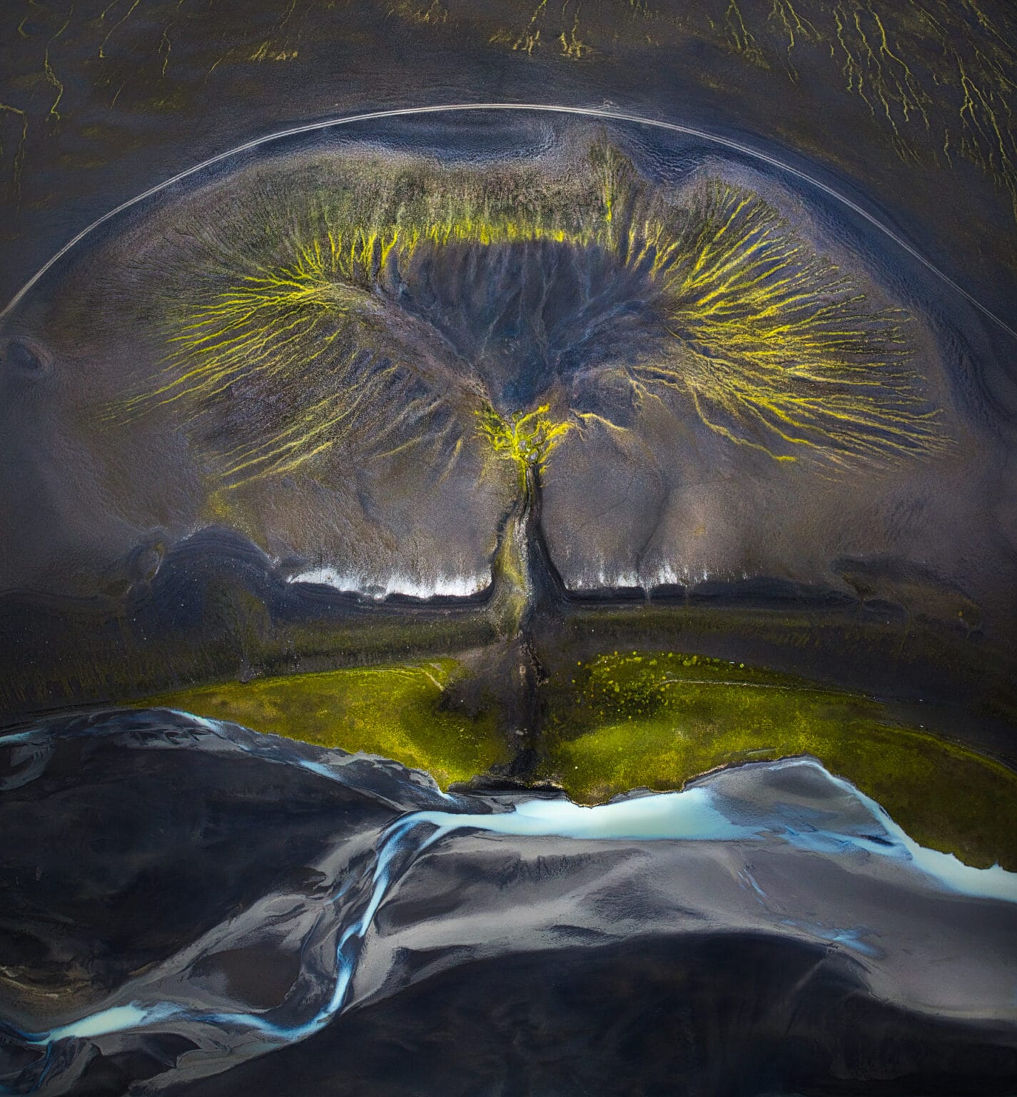 Uma vista aérea da arte da natureza nas terras altas da Islândia. Sulcos, rios e vegetação convergem para formar um padrão semelhante a uma árvore, mostrando a criatividade da natureza enquanto pinta uma obra de arte complexa contra a paisagem acidentada da Islândia. Isabella Tabacchi. 