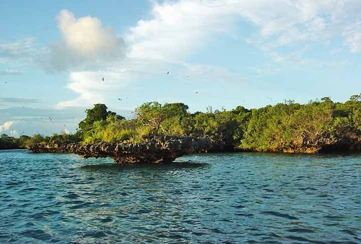 O Aldabra, em Seychelles, é o segundo maior atol de coral do mundo e um Patrimônio Mundial da UNESCO. Sua inacessibilidade ajudou a preservar seu ecossistema único, tornando-o um dos últimos refúgios intocados do planeta. Reprodução: Flipar