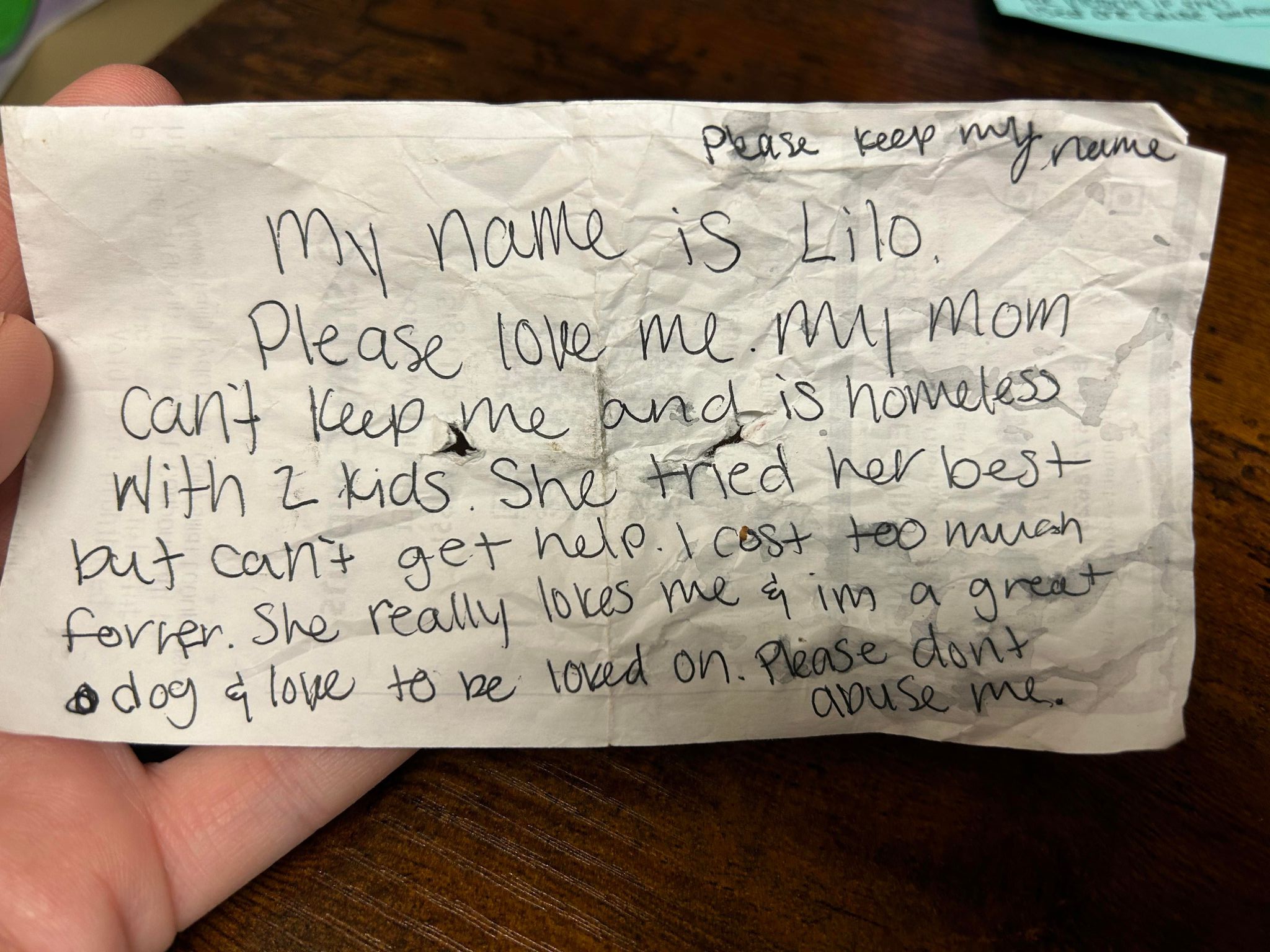 No bilhete a tutora pede para que mantenham o nome de Lilo, que a amem e não façam mal a ela. Foto: Reprodução/Facebook