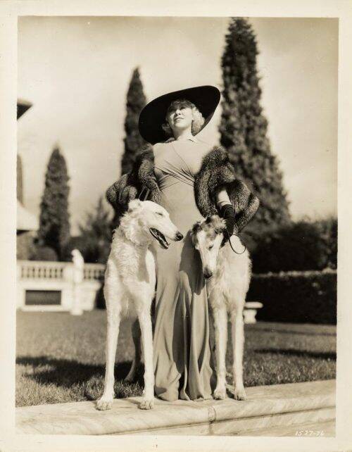 Atriz Mae West com cães da raça Borzoi, a foto foi tirada nos anos de 1920. Foto: Reprodução