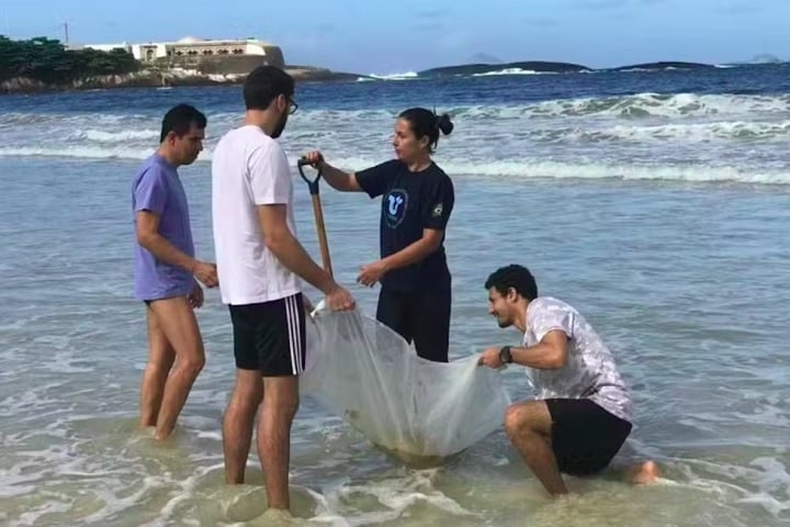 A pesquisadora Rayane Abude, da Unirio, destaca que as mudanças ambientais do Antropoceno (era de impacto humano no planeta) estão afetando espécies como o Emerita brasiliensis, comum no litoral brasileiro. Reprodução: Flipar