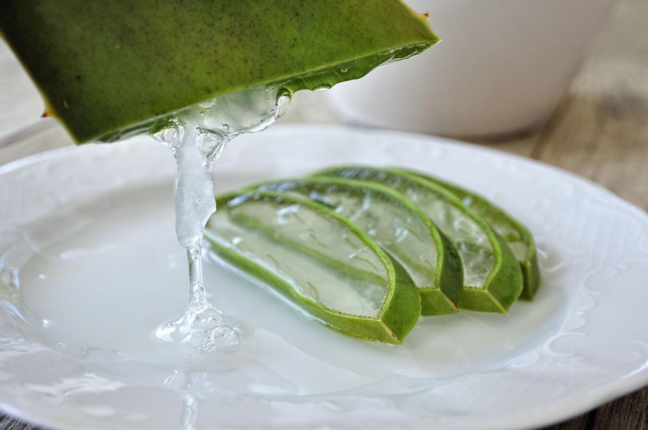 Aloe vera – Suas folhas contêm um gel rico em vitaminas e enzimas que acalmam e hidratam a pele. É usado em cremes faciais, géis pós-sol e produtos para queimaduras.
 Reprodução: Flipar