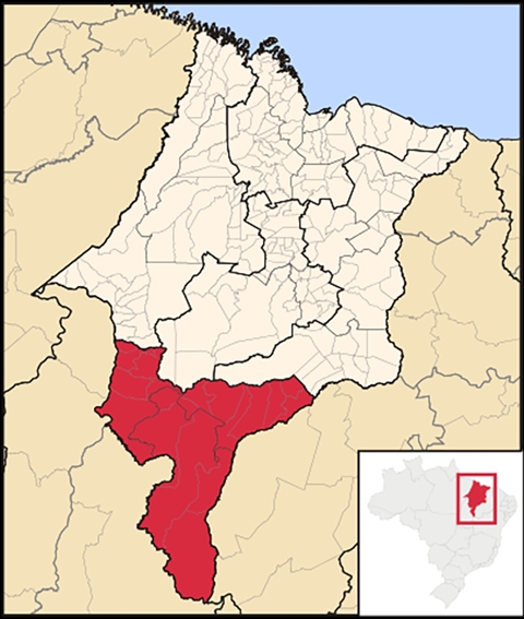  O Maranhão do Sul teria 49 municípios, com capital em Imperatriz. O Maranhão seria mantido no norte do território, com a capital São Luís. Reprodução: Flipar