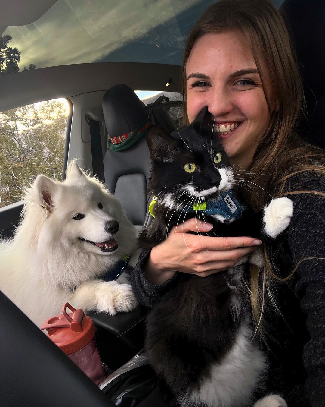 Stephanie vive em um Tesla Model Y com seus animais de estimação. Foto: Reprodução/Instagram