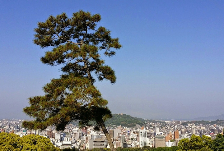 Ilha de Shikoku - Com 18,2 km², é a menor e a menos populosa das principais ilhas do Japão. A ilha é cortada ao meio por montanhas. Ao norte, maior concentração populacional Reprodução: Flipar