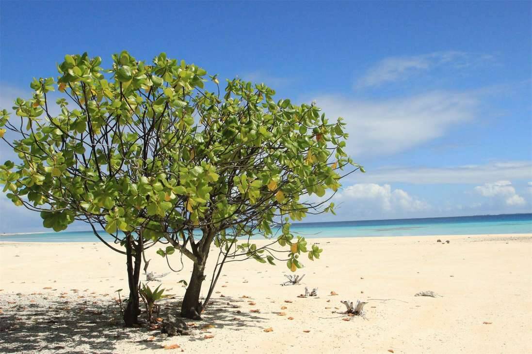 Ilha de Nengo Nengo está a venda por US$ 55 milhões. Foto: Divulgação/ Private Islands Inc.