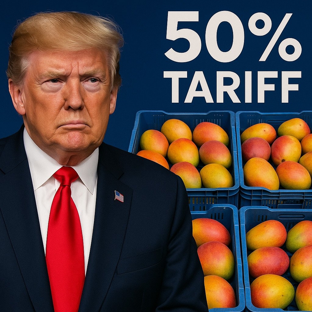 A tarifa de 50% imposta pelo presidente dos Estados Unidos, Donald Trump, sobre vários produtos de importação atingiu em cheio as frutas brasileiras. E a manga é uma das que mais amadurecem nesta época do ano, sendo propícias para a comercialização.  Reprodução: Flipar