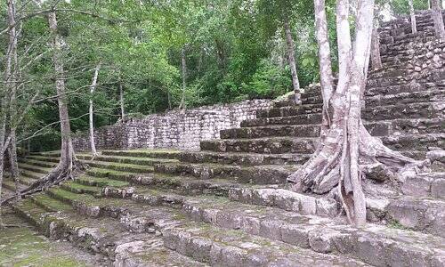 Ruínas Calakmul, no México. Foto: Reprodução