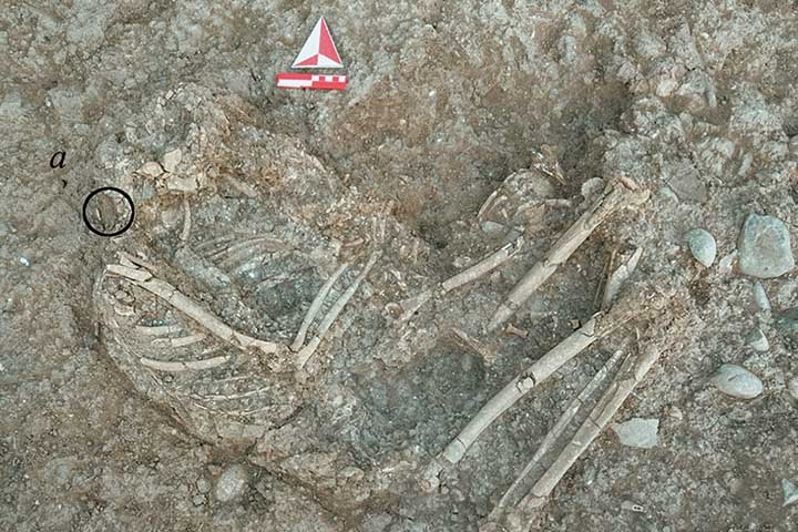 Os pesquisadores encontraram peças de pedra nas regiões de bocas e orelhas de esqueletos em escavações na Turquia.
 Reprodução: Flipar
