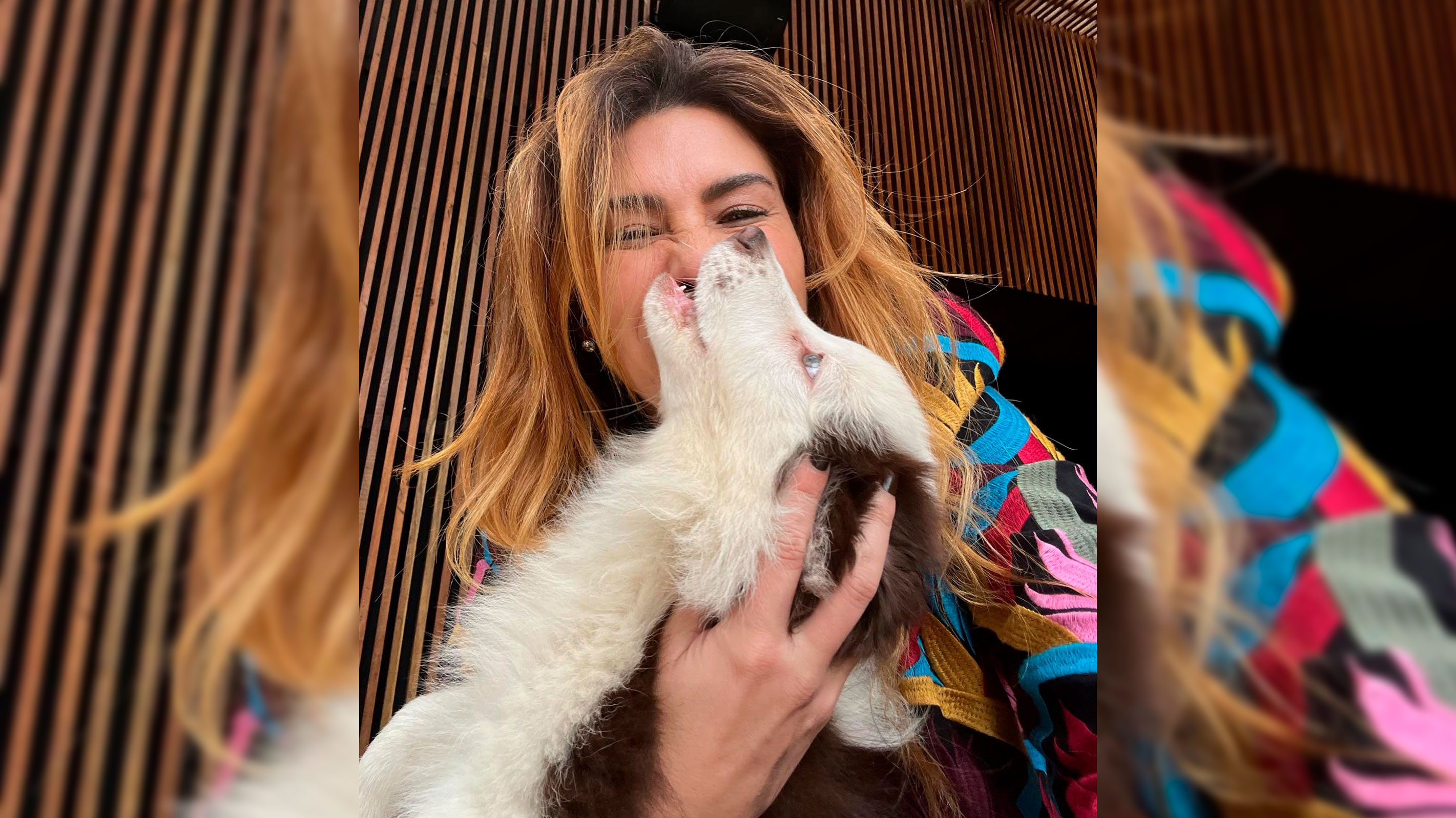 Fernanda Paes Leme disse que o cachorro ficará na casa de seu pai, Álvaro Paes Leme. Foto: Reprodução/Instagram 11.08.2023