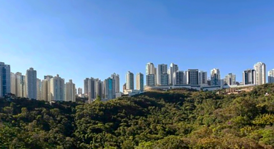 A área onde a onça-parda apareceu se chama Vila da Serra. Um bairro luxuoso no limite com Belo Horizonte, ele dá vista para as montanhas, o que, teoricamente, valoriza o bairro, repleto de condomínios do tipo resort e casas de alto padrão.  Reprodução: Flipar