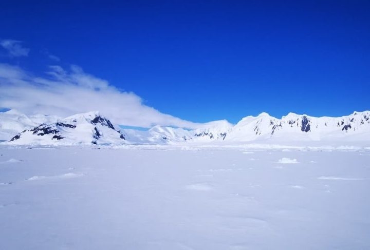 O desaparecimento de Ran é um mistério, mas as informações coletadas pelo submarino antes de perder contato são de grande valor para a comunidade científica, fornecendo dados cruciais para entender as mudanças climáticas e seus impactos no planeta. Reprodução: Flipar