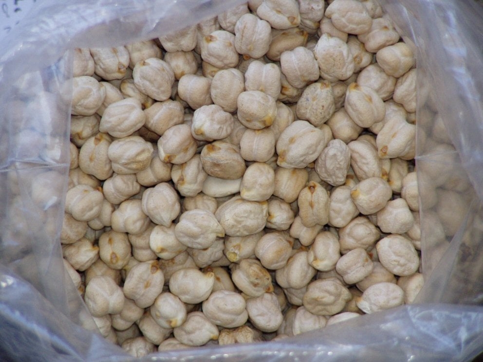 Regula o colesterol: graças às fibras solúveis presentes no grão-de-bico, ele ajuda a reduzir a absorção de gorduras no intestino, contribuindo para o equilíbrio dos níveis de colesterol no sangue. Reprodução: Flipar
