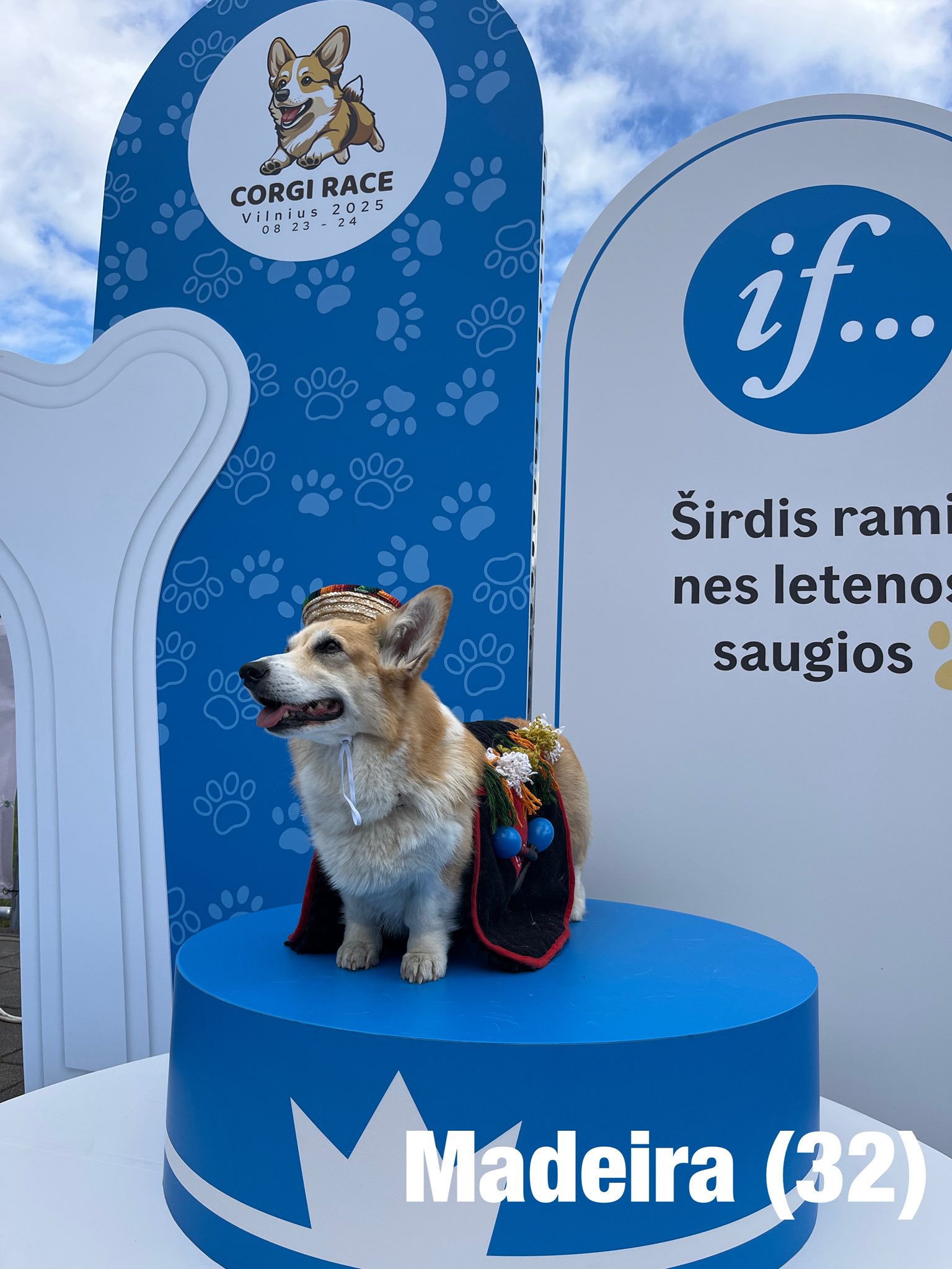 Corrida de Corgis reúne competidores fantasiados na Lituânia. Foto: Facebook/Corgi Race Vilnius