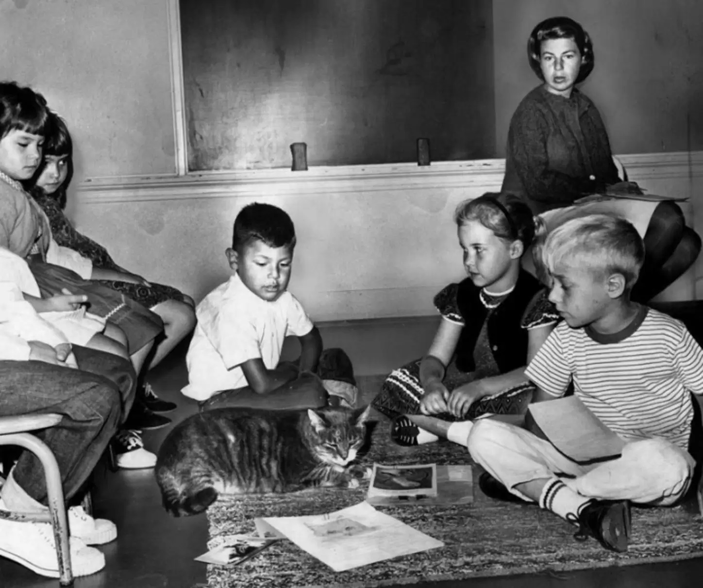 Room 8, o gato, entre estudantes de escola primária na década de 1950. Foto: Reprodução/Los Angeles Historic