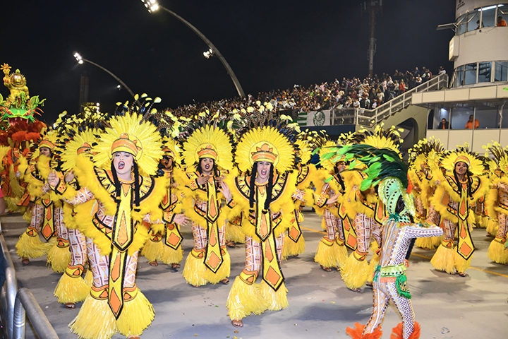 Ao longo de todas essas décadas, 12 escolas  já conquistaram, uma ou mais vezes, o título oficial de campeã do carnaval de São Paulo. Reprodução: Flipar