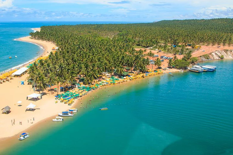 Rodeada por coqueirais e águas tranquilas, a Praia do Gunga, em Alagoas, é perfeita para quem busca paz e beleza natural. Reprodução/Wowtickets.com