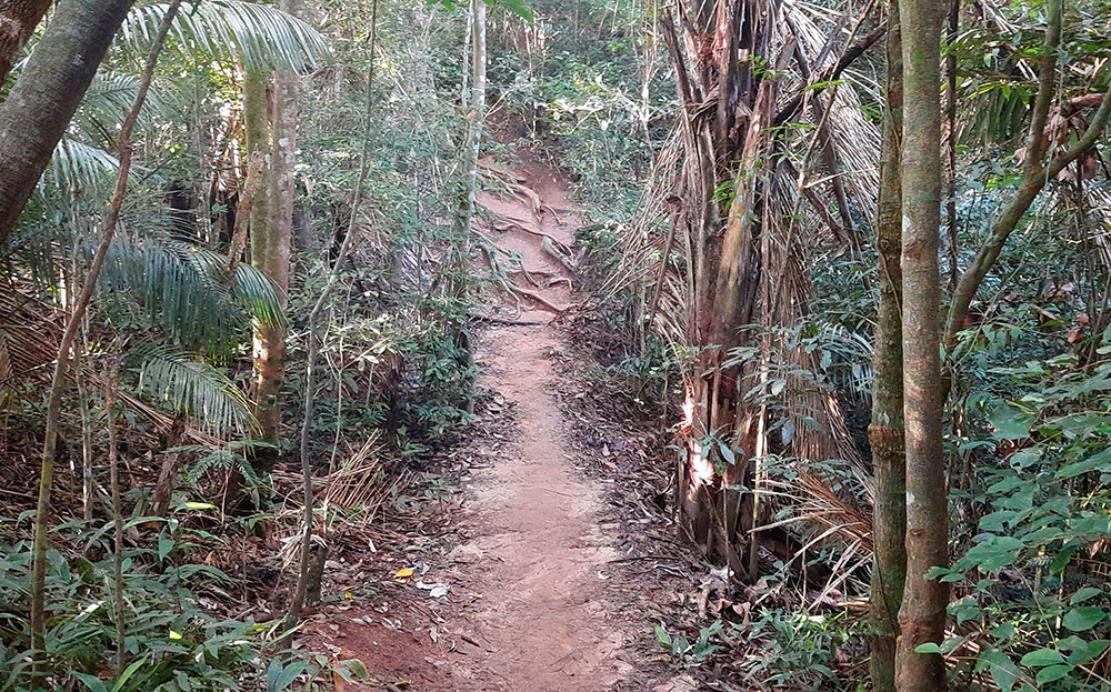 A trilha tem caminhos íngremes de nível difícil para iniciantes. Foto: Felipe Carvalho/iG