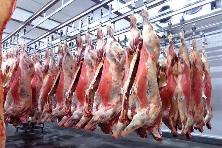 Segundo o Departamento de Agricultura dos Estados Unidos (USDA), os dois principais exportadores mundiais são o Brasil e a Austrália. Em 2024, a projeção é que as exportações globais de carne bovina cheguem a 11,9 milhões de toneladas, com crescimento de 1%. Reprodução: Flipar