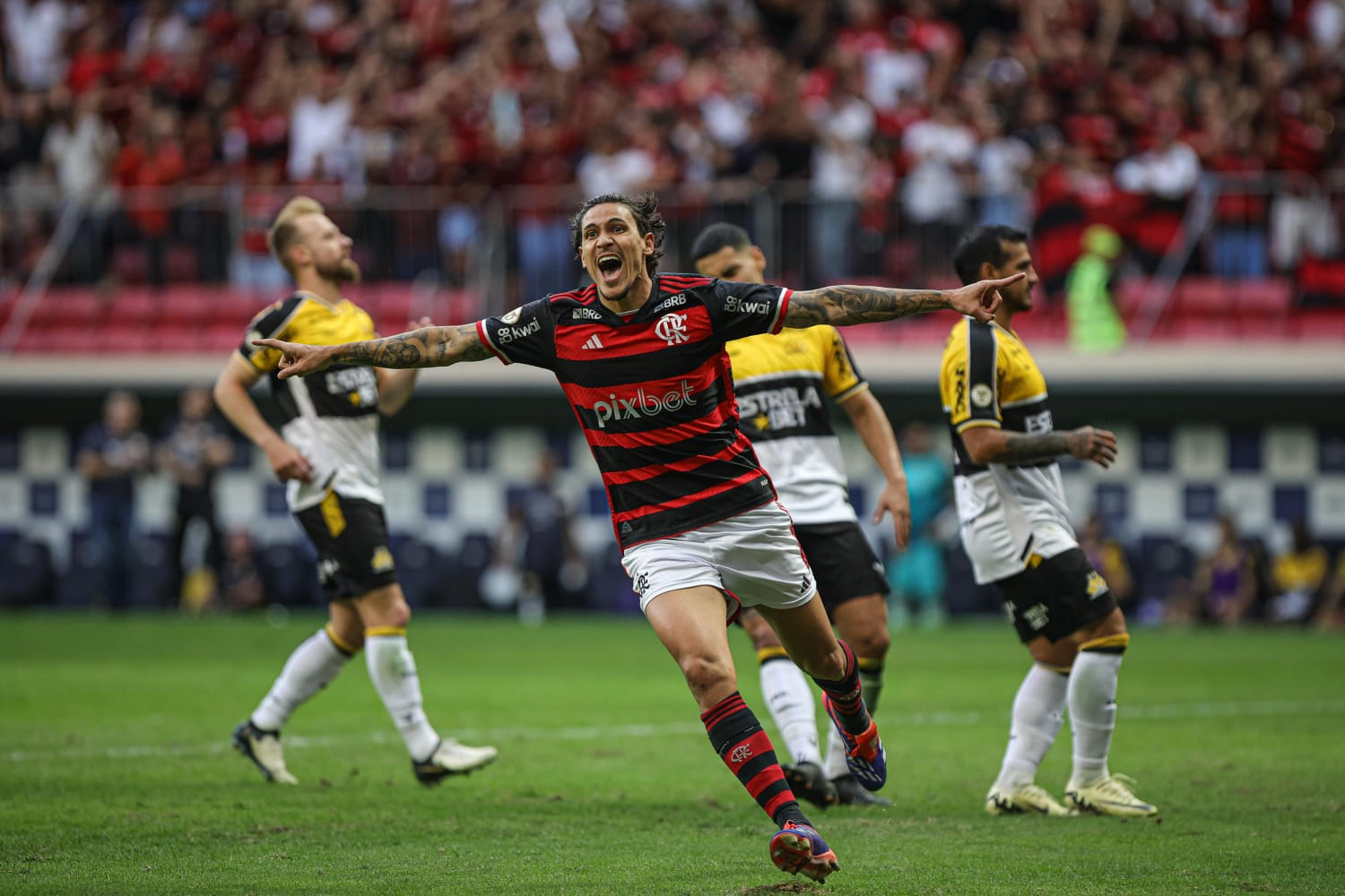 Flamengo x Criciúma Reprodução/Instagram