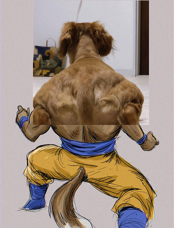 Ilusão de óptica de cão musculoso bomba no twitter e vira meme; veja. Foto: Reprodução/ Twitter