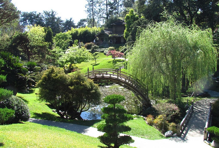 A Huntington Library fica na cidade de San Marino, a 20 minutos do centro de Los Angeles. O espaço possui 12 jardins, inclusive com plantas vindas da Austrália, China, Japão, entre outras, com aclimatações específicas. 40 jardineiros e 100 voluntários cuidam do local.  Reprodução: Flipar