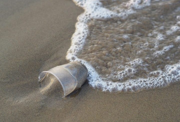 Algumas ações, como evitar o uso de descartáveis, não jogar lixo nas praias e escolher embalagens que possam ser recicladas podem contribuir para diminuir a quantidade de plástico nos oceanos.  Reprodução: Flipar