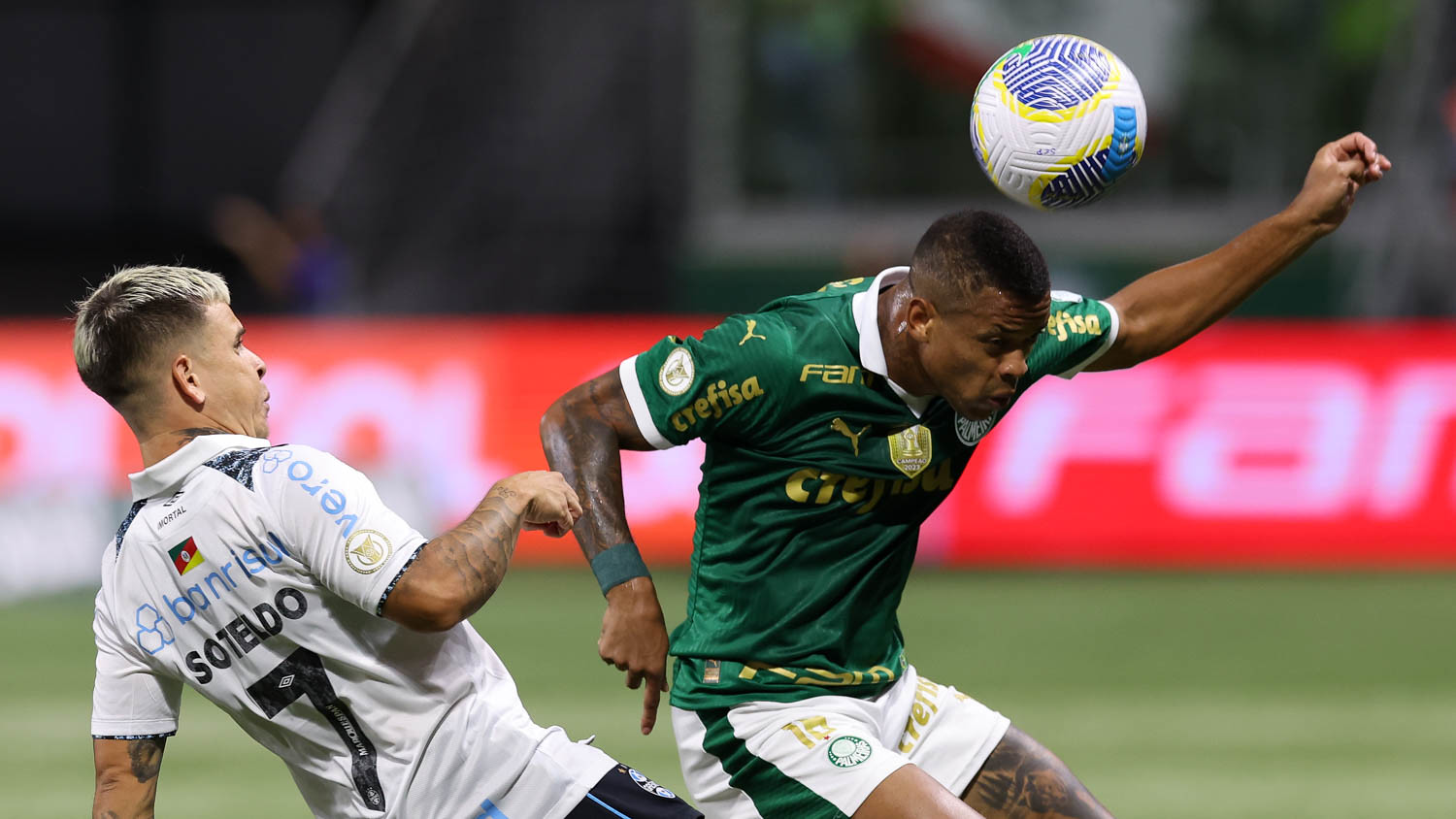(Foto: Cesar Greco/Palmeiras) Palmeiras x Grêmio (Foto: Cesar Greco/Palmeiras)