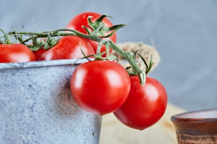 Se você já pensou em trabalhar na Europa, aqui vai uma boa oportunidade: a empresa Conserve Italia está em busca de trabalhadores temporários para cinco locais de colheita de tomate. Reprodução: Flipar