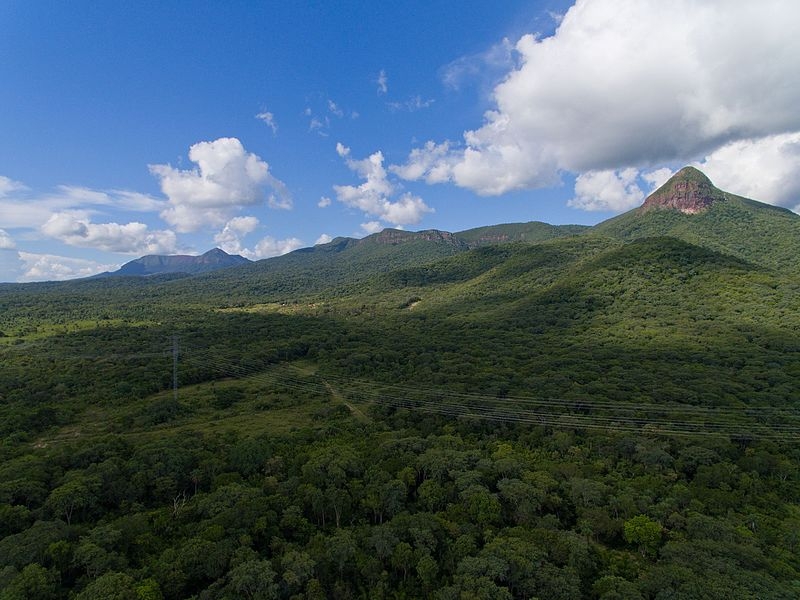 “Com um pouco de paciência, conseguimos registrar imagens incríveis da harpia em voo, carregando sua presa, provavelmente em direção ao ninho. Ver uma harpia selvagem em seu ambiente natural já é raro, mas capturá-la em voo, com uma presa nas garras, é como ganhar na Mega-Sena”, declarou o fotógrafo ao portal G1. O flagra ocorreu no no Maciço de Urucum (foto), em Corumbá (MS).

 Reprodução: Flipar