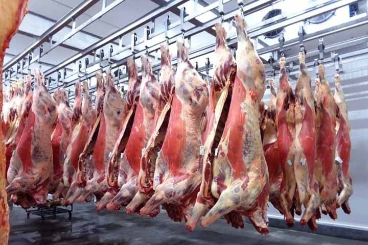 A dificuldade em rastrear a origem e a qualidade da carne torna a fraude mais fácil. A adulteração pode comprometer a segurança alimentar e a qualidade nutricional da carne. Inspeções rigorosas e rastreamento eficaz são necessários para garantir a integridade do produto e proteger os consumidores. Reprodução: Flipar