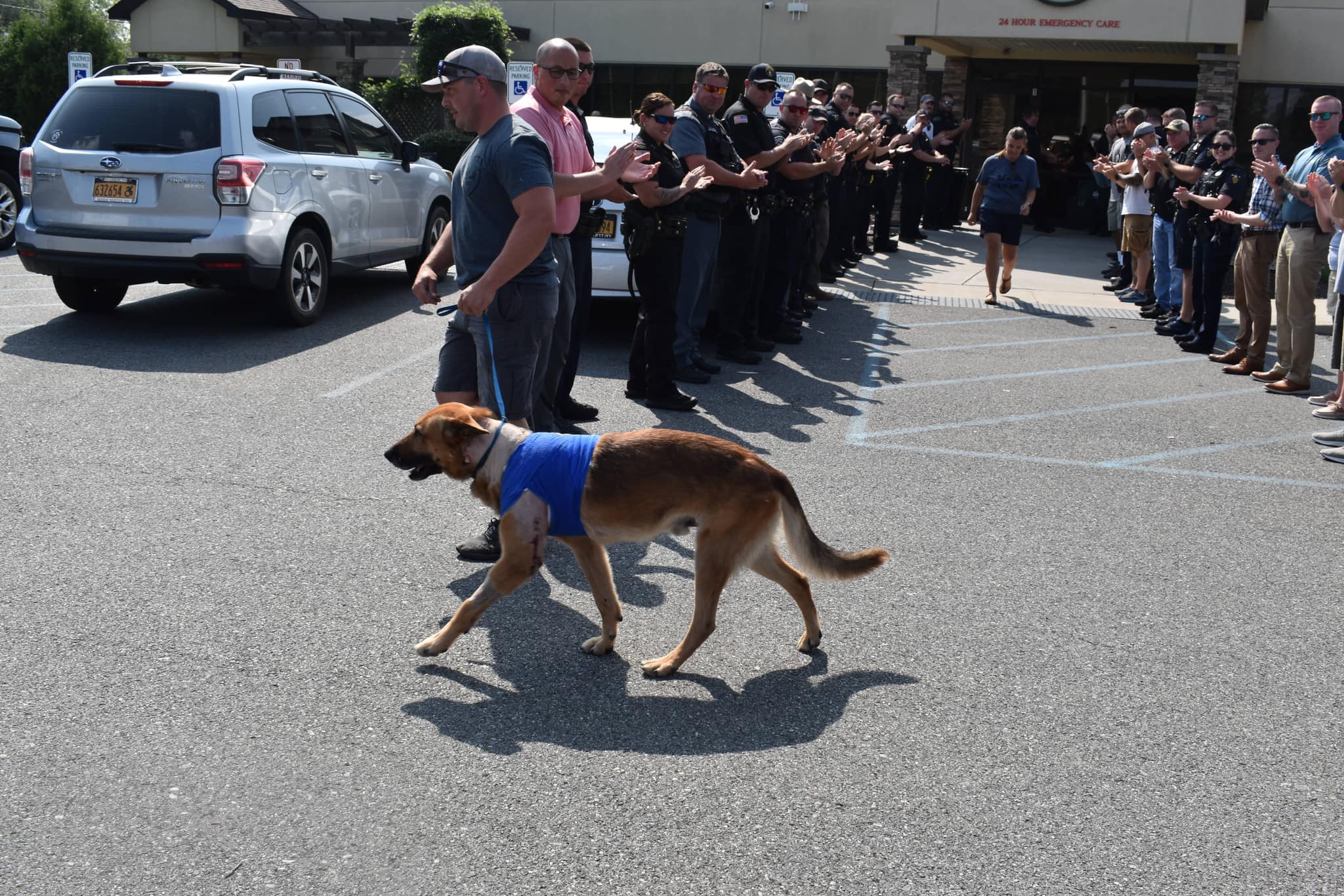 Norbi recebeu uma saudação calorosa de seus colegas policiais após deixar clínica veterinária. Foto: Reprodução/Troy Police Department - 05/07/2023