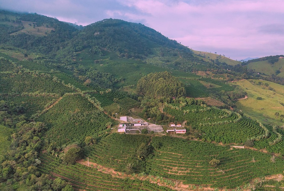 A Fazenda Boa Vista é uma das principais produtoras de café de Dom Viçoso (MG) Reprodução/Instagram - Fazenda Bela Vista