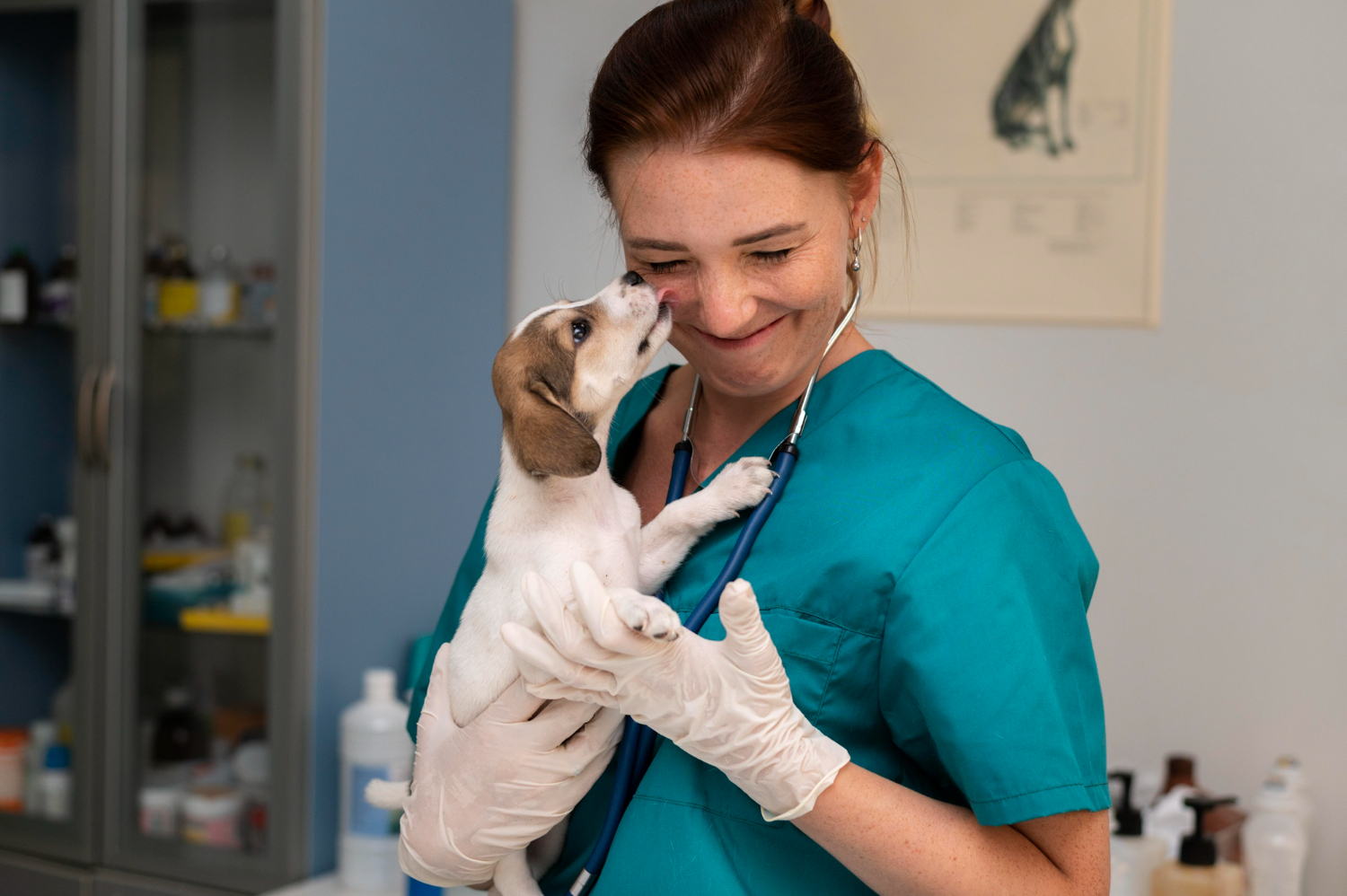 É relevante lembrar que cada cão é único, e pode ser necessário adaptar as atividades de acordo com a personalidade, a idade e a condição física do animal. Consultar um médico-veterinário é muito importante para que o profissional possa ajudar a identificar as melhores opções para o seu pet. Reprodução/freepik