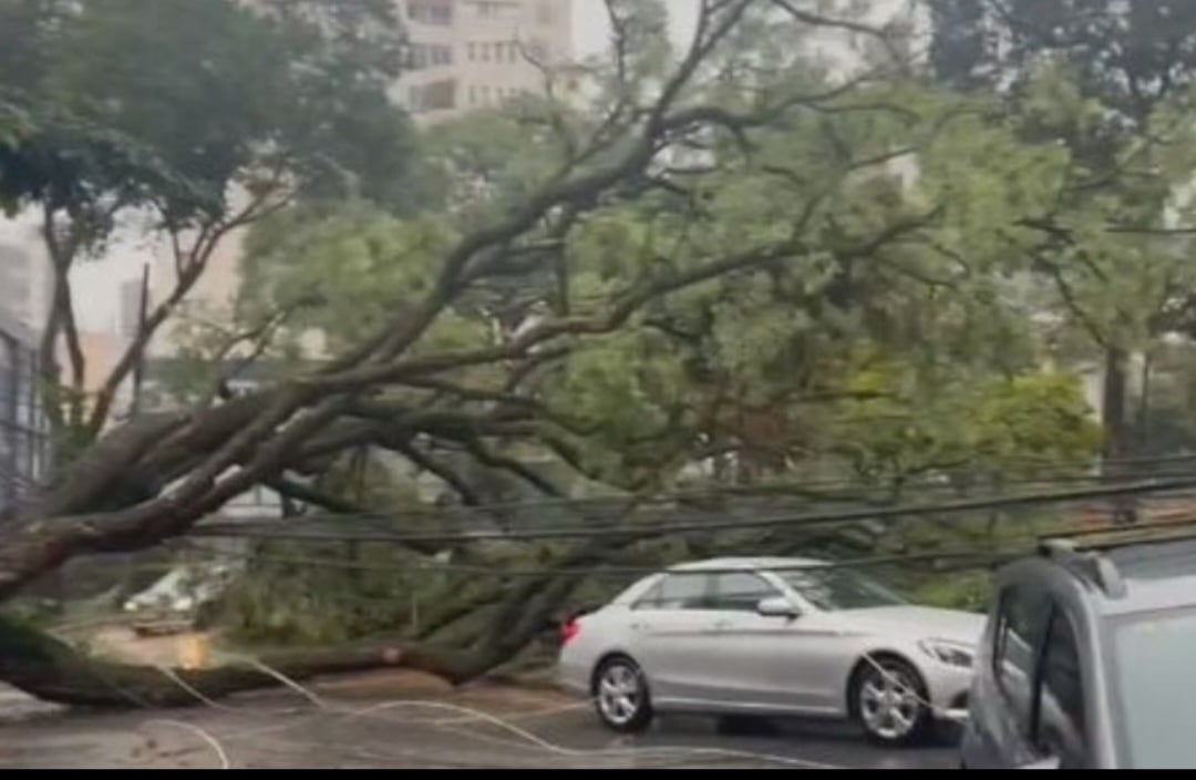 O caso aconteceu em Belo Horizonte. Um poste foi derrubado por uma árvore que desabou com a forte ventania, associada à chuva que atingiu a capital mineira, e caiu sobre carros. Reprodução: Flipar