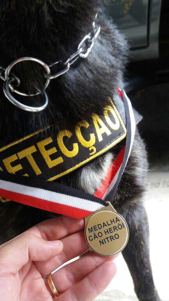 Cães Dilan e Nitro foram homenageados pela ocorrência de localização de 20kg de maconha que estavam no interior de um ônibus clandestino. Foto: divulgação/canil da PM