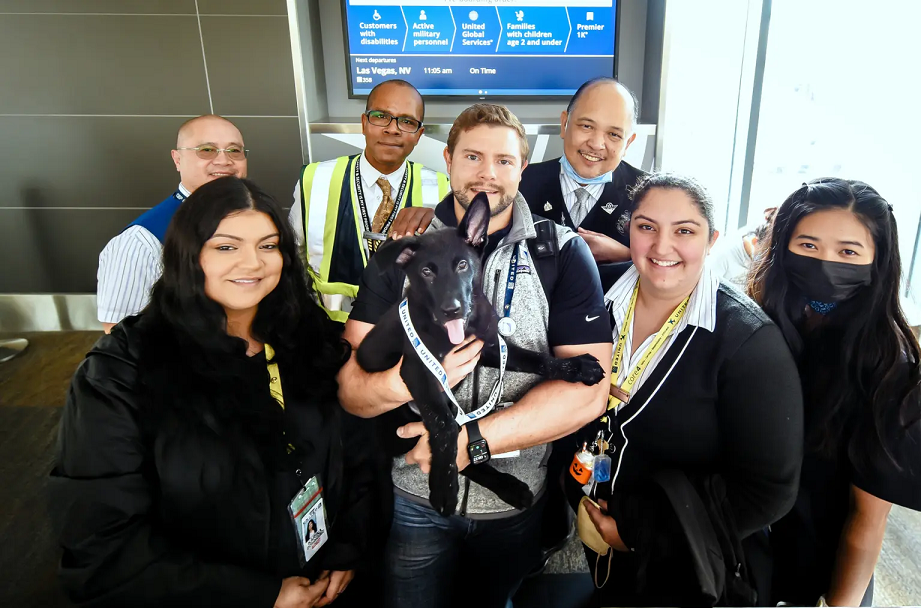 A equipe da SPCA de São Francisco ajudou a colocar o Polaris com o Capitão William Dale. Foto: United Airlines
